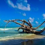 Andaman Nicobar Package