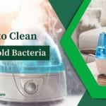 Best ways to Clean Pink Mold From A Humidifier