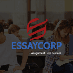 Best Assignment Help With Essaycorp