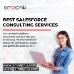 Salesforce Consulting Services