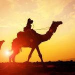 Top 21 Things to Do in Pushkar