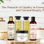 How To Start Candle Making Business In India