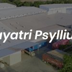 India Trusted Psyllium Husk Manufacturer & Global Exporter | Gayatri Psyllium Industries