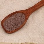 Best Psyllium Husk Manufacturers in India – Gayatri Psyllium Industries